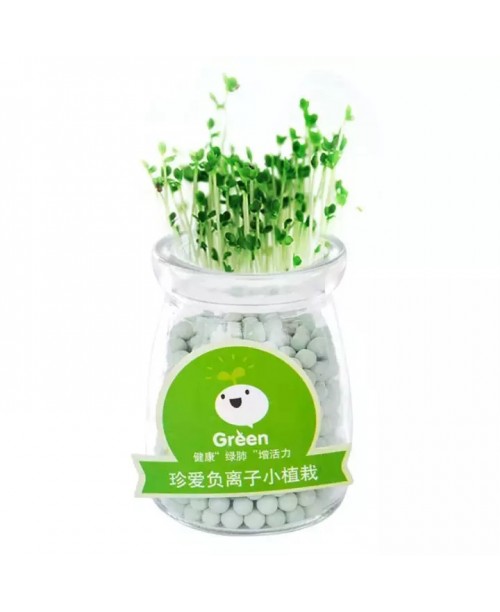 Lọ sữa chua mọc cây xinh xinh để bàn làm việc